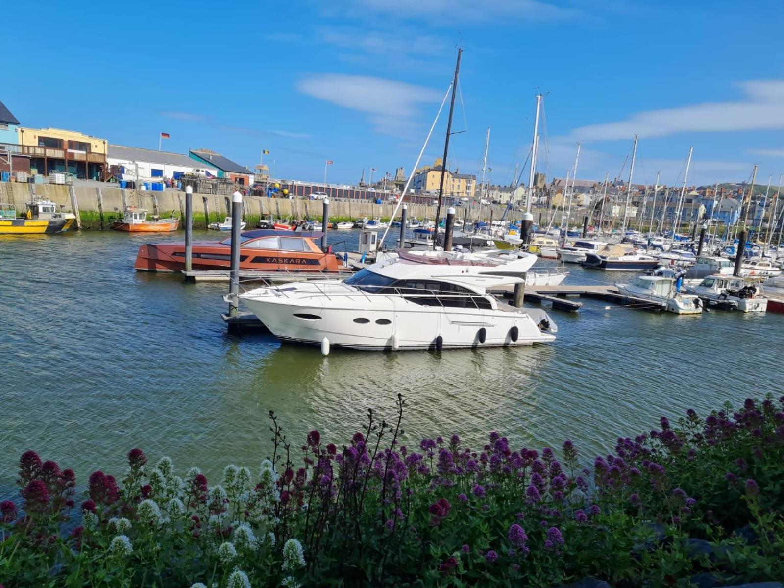 Spacious Luxury Escape With Sea Views And Pet Friendly At Clarach Bay Villa Aberystwyth Eksteriør bilde